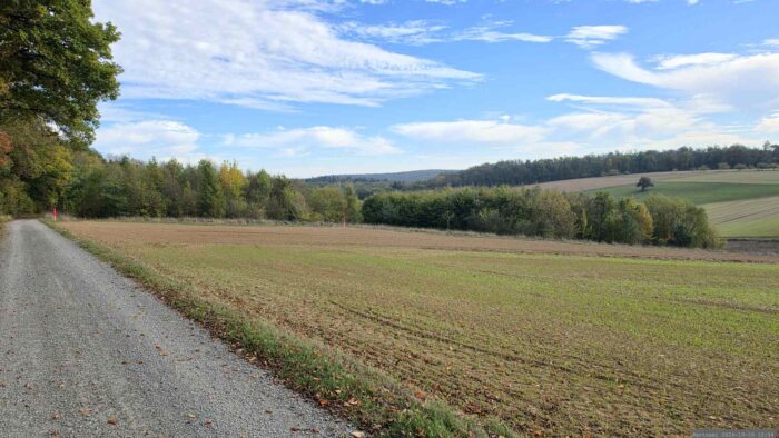 Feldweg kurz vor der Ellinger Hütte