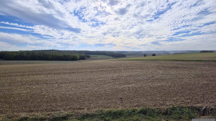 Blick von der Kohlplatte auf die Altertheimer Mulde