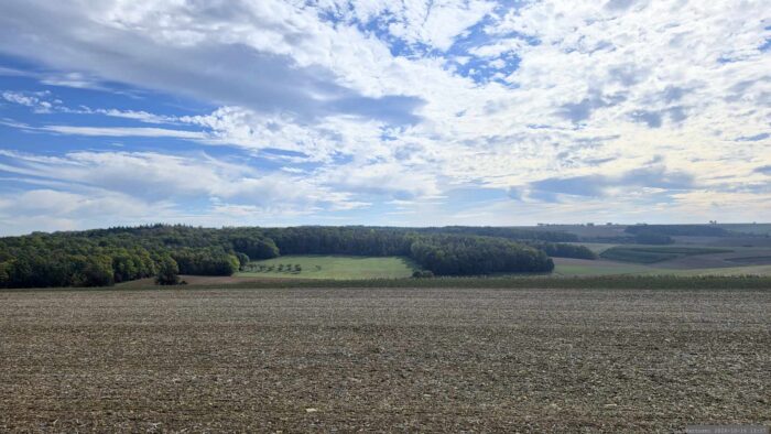 Blick von der Kohlplatte auf die Altertheimer Mulde