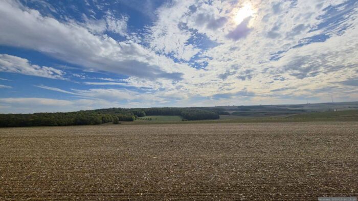Blick von der Kohlplatte auf die Altertheimer Mulde