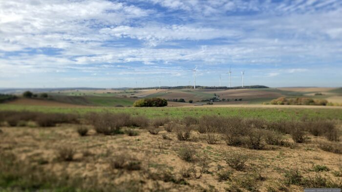 Blick Richtung SuedLink-Trasse im näheren Bereich der Altertheimer Mulde