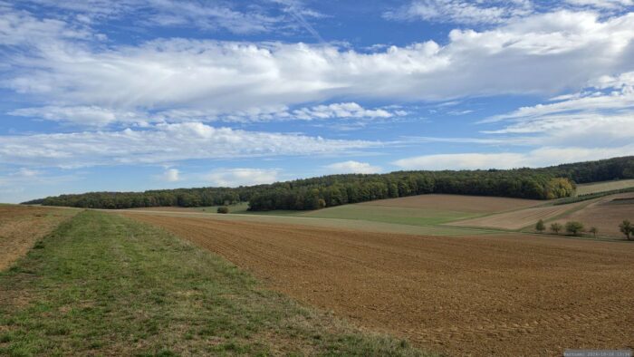 Altertheimer Mulde am 16. Oktober 2026