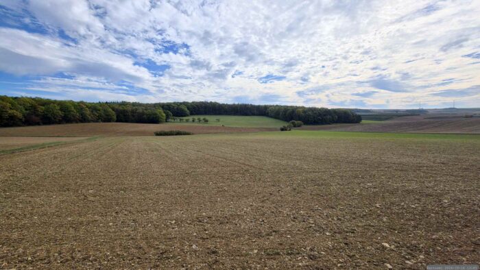 Altertheimer Mulde am 16. Oktober 2026