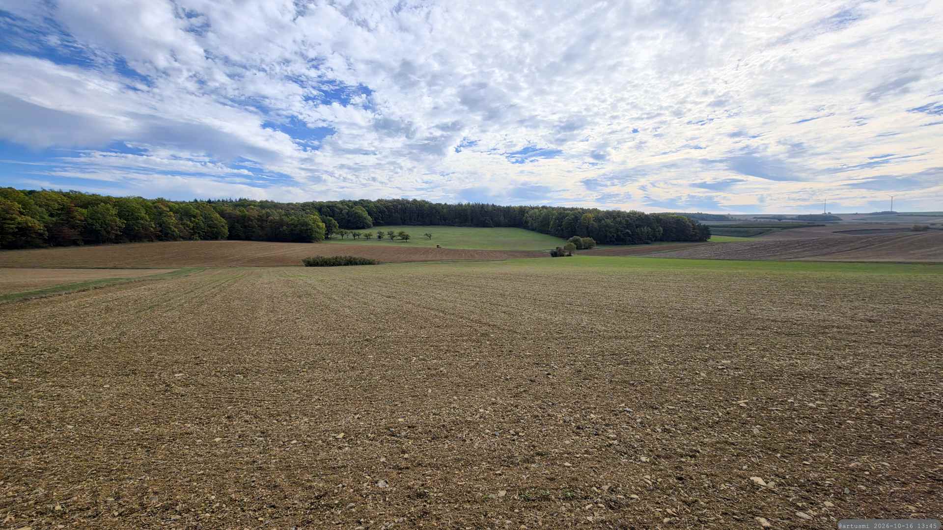 Altertheimer Mulde am 16. Oktober 2026