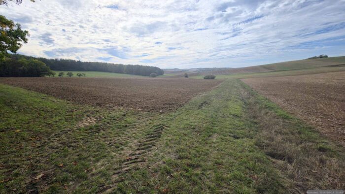 Altertheimer Mulde am 16. Oktober 2026