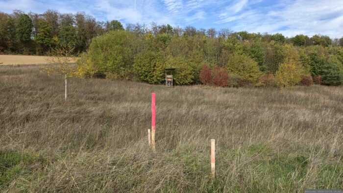 Neu angebrachte Holzstickel am 16. Oktober 2026 auf Grundstück unterhalb der Ellinger Hütte