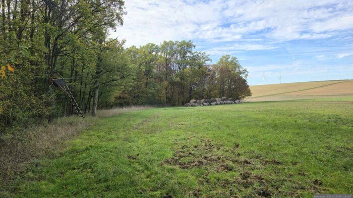 Weg entlang des Waldes im Bereich der Altertheimer Mulde