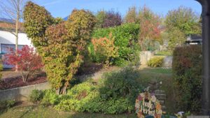 Unser Garten am 19. Oktober 2026