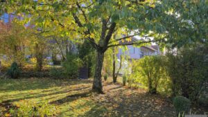 Unser Garten am 22. Oktober 2026