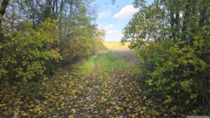 Start unserer Wanderung am 22. Oktober 2026 in der Merowingerstraße in Eisingen