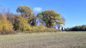 Buchrainholz und Lochholz am 22. Oktober 2026