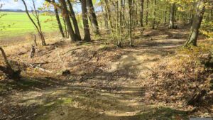 Reste der äußeren Landwehr - diese ehemalige Grenzbefestigung ist als Doppelgraben ausgeführt und sollte die Feinde davon abhalten, außerhalb der offiziellen Grenzstellen nach Würzburg einzudringen.