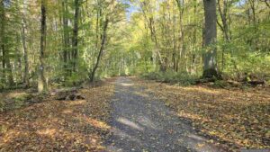Waldweg von Eisingen nach Waldbüttelbrunn und Höchberg