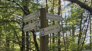 Wegweiser am Waldweg im Tiergarten