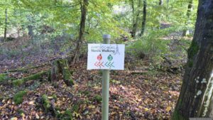 Waldweg im Tiergarten
