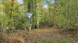 Naturdenkmal Tiergarten