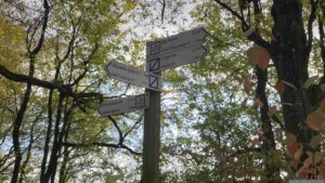 Wegweiser im Höchberger Gemeindewald Nähe Müllersee