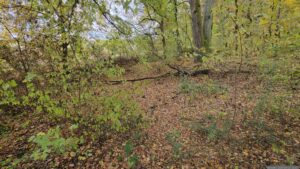 Ohne Wasser: Der Müllersee am 22. Oktober 2026