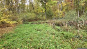 Nahezu ohne Wasser: Der Schwemmsee in Höchberg am 22. Oktober 2026