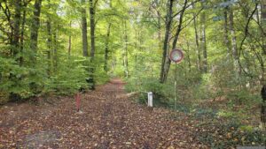 Zugang vom Waldkindergarten kommend zum Werksandsteinbruch Höchberg
