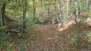 Werksandsteinbruch Höchberg am 22. Oktober 2026