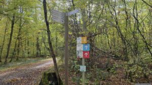 Wegweiser ober des Werksandsteinbruchs Höchberg