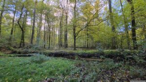 Ohne Wasser: Der Bauernsee am 22. Oktober 2026