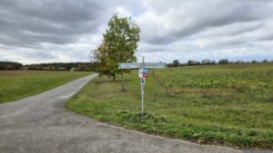 Geradeaus auf dem Weg zum Lödeberg im Buchrainholz bei Waldbüttelbrunn