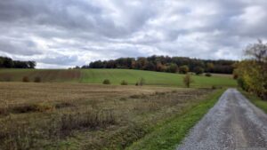 Auf dem Weg zum Lödeberg im Buchrainholz bei Waldbüttelbrunn