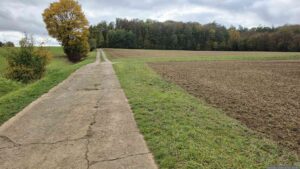 Auf dem Weg zum Lödeberg im Buchrainholz bei Waldbüttelbrunn