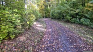Waldweg am Lödeberg im Buchrainholz