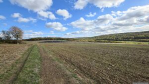 Flurweg bei Waldbrunn Richtung Oberholz