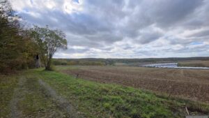 Oberholz bei Waldbrunn