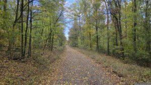 Waldweg im Oberholz bei Waldbrunn