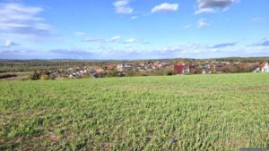 Blick vom Spessartbänkle auf Eisingen am 22. Oktober 2026