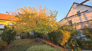Unser Garten am 27. Oktober 2026