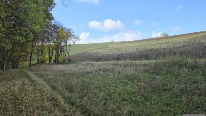 Gemarkung Gereut bei Waldbrunn am 28. Oktober 2026