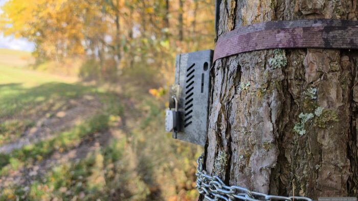Wildkamera: Erstmals festgestellt am 16. Oktober 2026 an einem direkt am Waldrand verlaufenden Flurweg in der Altertheimer Mulde