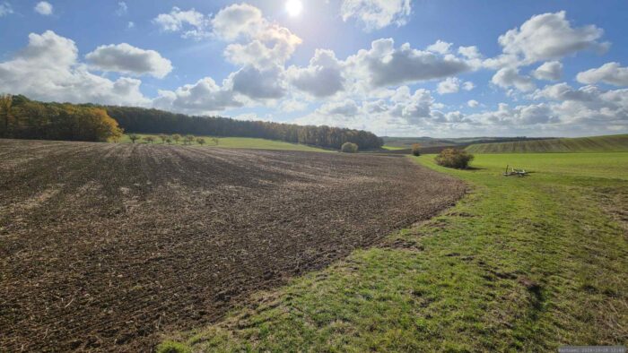 Altertheimer Mulde am 28. Oktober 2026