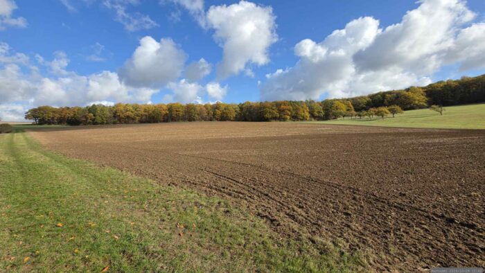 Altertheimer Mulde am 28. Oktober 2026