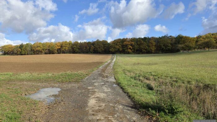 Weg von der Staatsstraße St 2297 kommend, mit Blick in Richtung Altertheimer Mulde.