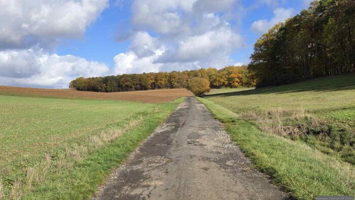 Weg von der Staatsstraße St 2297 kommend, mit Blick in Richtung Altertheimer Mulde.