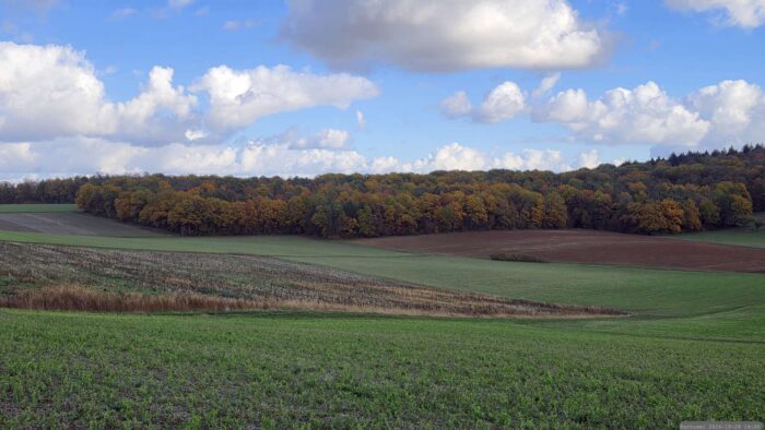 Altertheimer Mulde am 28. Oktober 2026