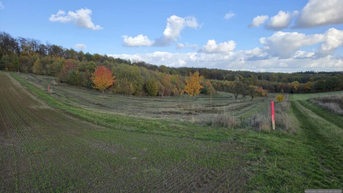 Frisch gemähte Wiese in der Nähe der Altertheimer Mulde unterhalb der Ellinger Hütte