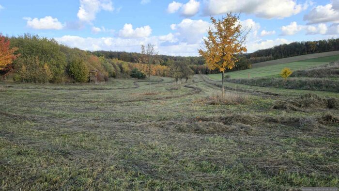 Frisch gemähte Wiese in der Nähe der Altertheimer Mulde
