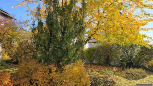 Unser Garten am 30. Oktober 2026